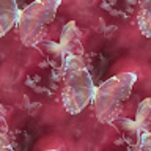 Meet your Posher, Sandi